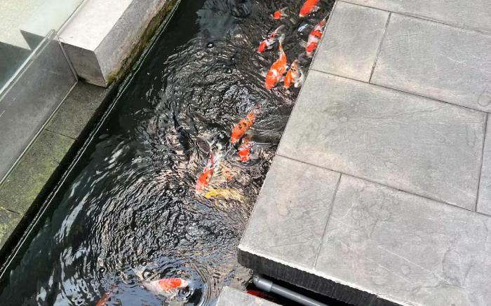 Imperial Mediterania Garden Residence