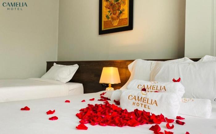 Camelia Hotel