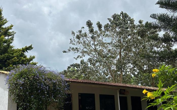 The Big Cat's Den - Maravakandy Resort Masinagudi