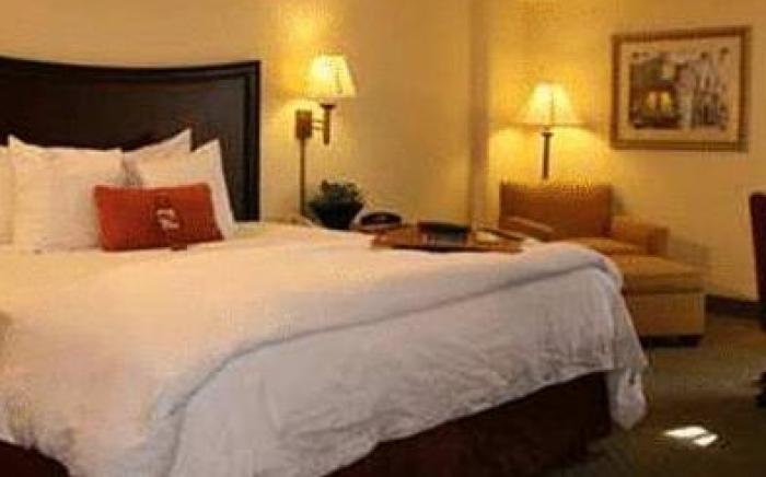 Hampton Inn San Antonio-Downtown (River Walk Area)