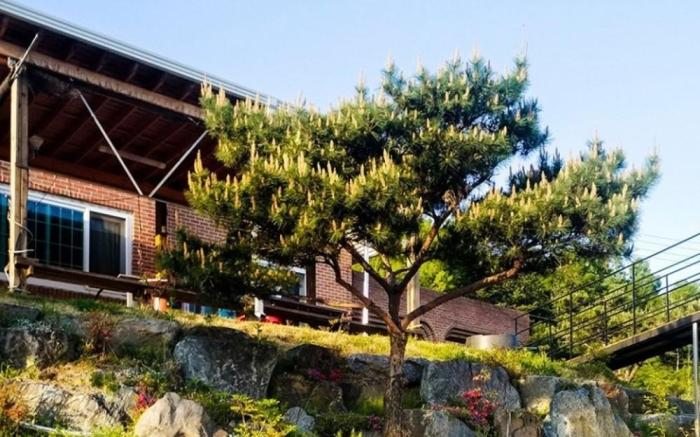 Choongju Garden Arirang Pension