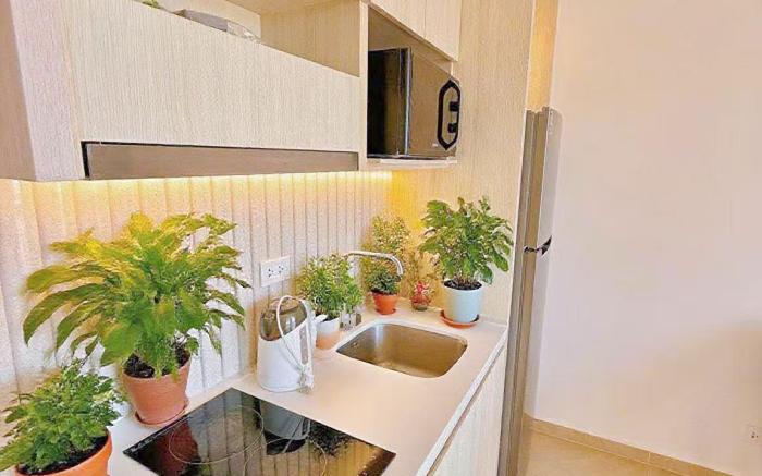 芭提雅市中心高端泳池花园公寓 / 椰子树下步行街旁