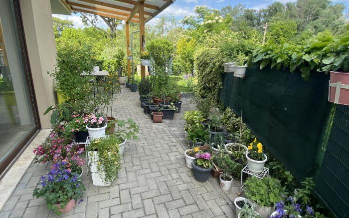 Korzó Terasz Szentendre