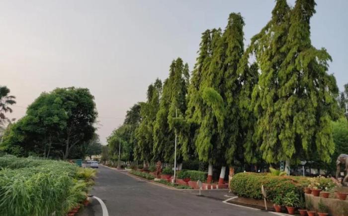 Nalco Guest House Bhubaneswar Odisha 