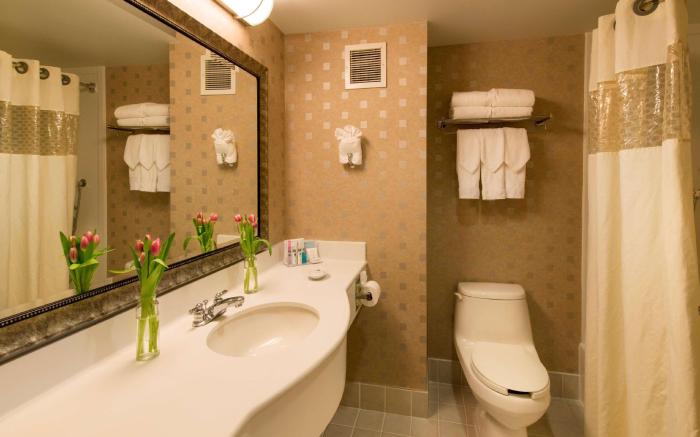 Hampton Inn & Suites Boston-Crosstown Center