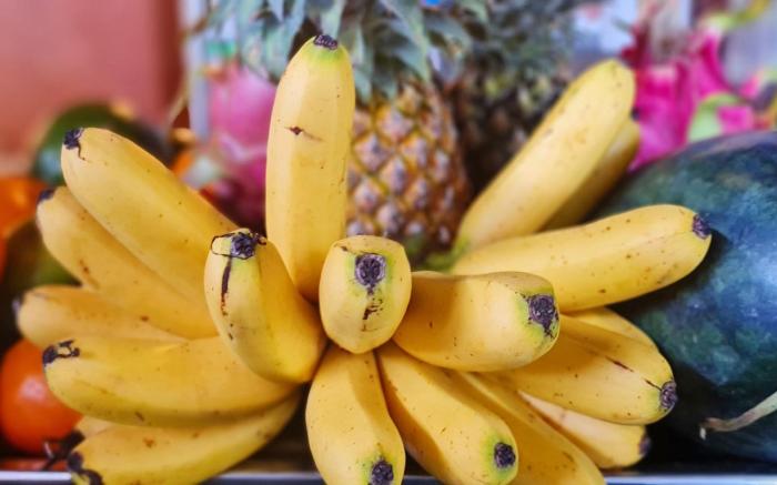 Sun & Roots Lodge Restaurant and Bar