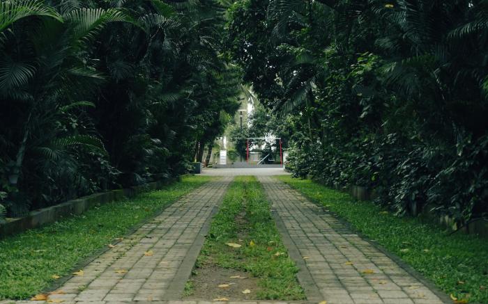 Mazra Retreat, Coorg