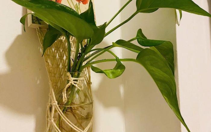 Nuka house Đà Lạt