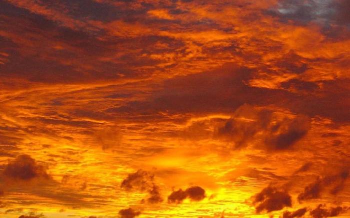 The Blue Crab Beach Hotel