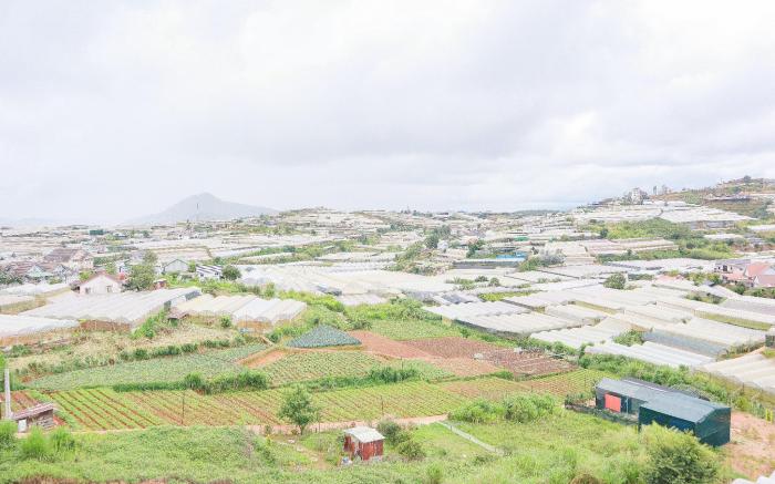 Hamia Villa Dalat ( Villa Minh Anh )