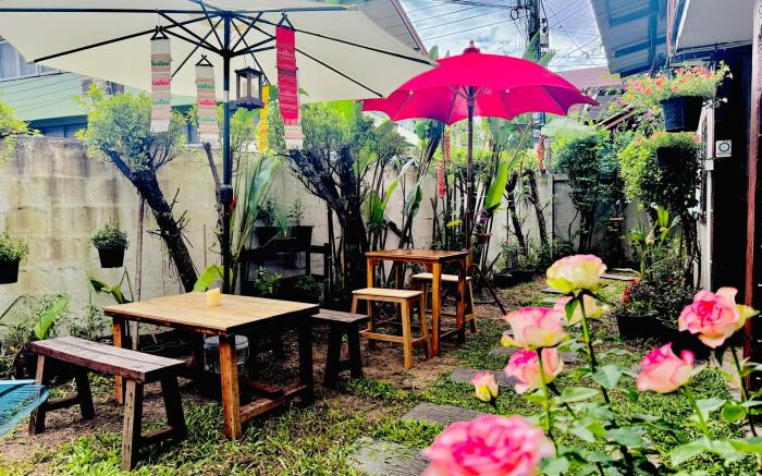 Meow Muan Chiang Mai