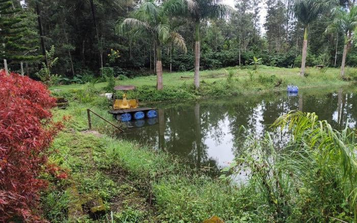 Rising Surya Homestay