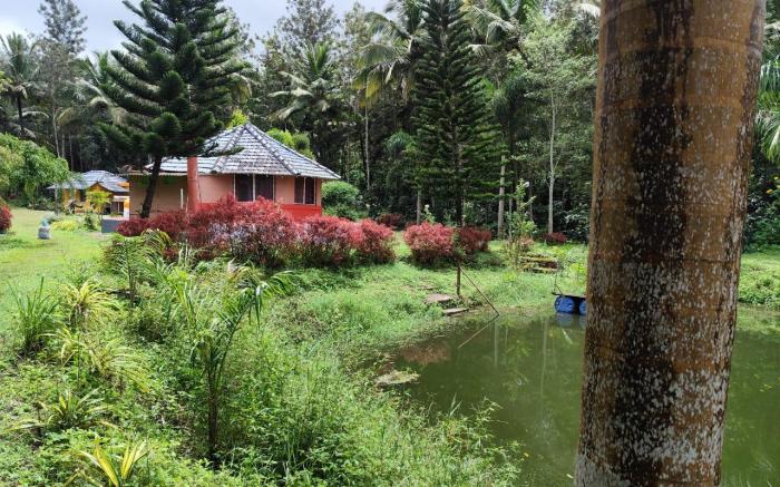 Rising Surya Homestay