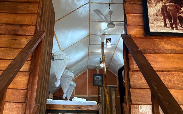 Elephant point tree house