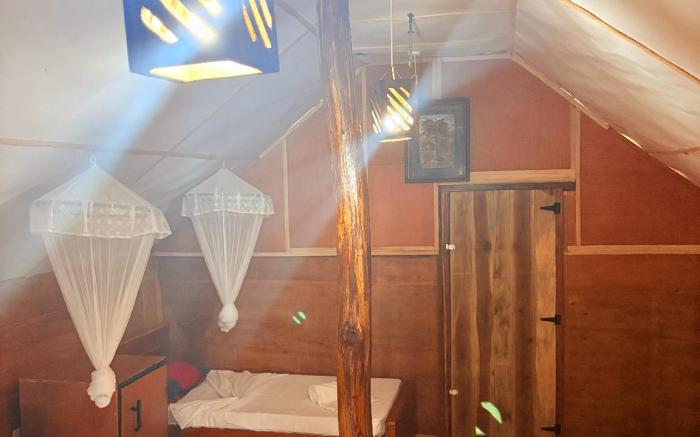 Elephant point tree house