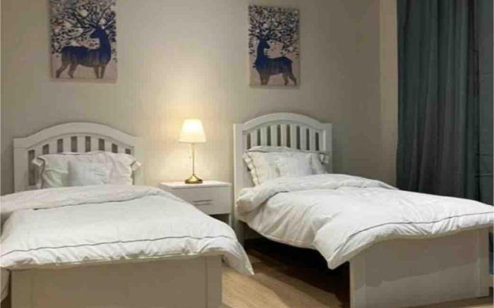 شقة مفروشة دخول ذاتي 