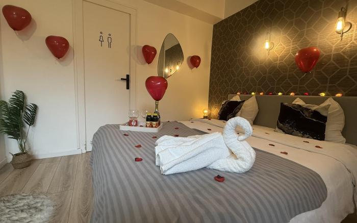 Cocon rénové près du tram