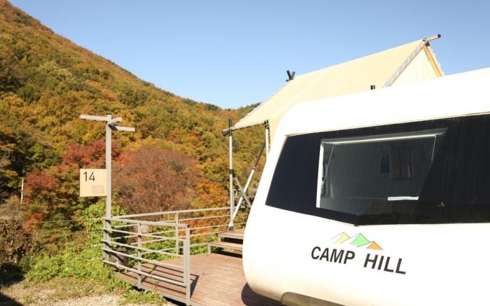 Daegu Round Hill 905