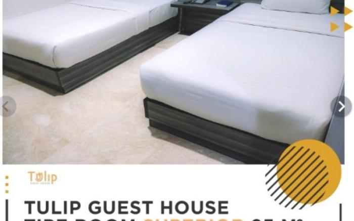 Tulip Guest House