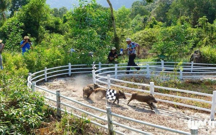 Cay Sao Beach Glamping Phu Quoc