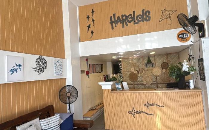 Harold’s Mansion Budget Dorm Room