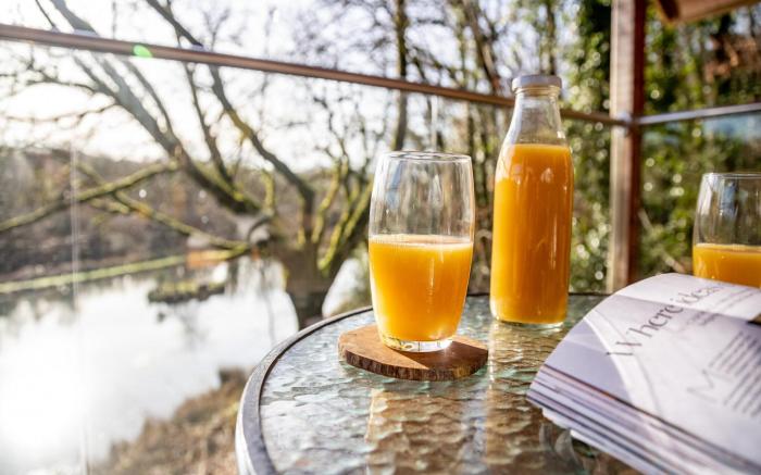 Treehouse in Germansweek near Dartmoor Trails