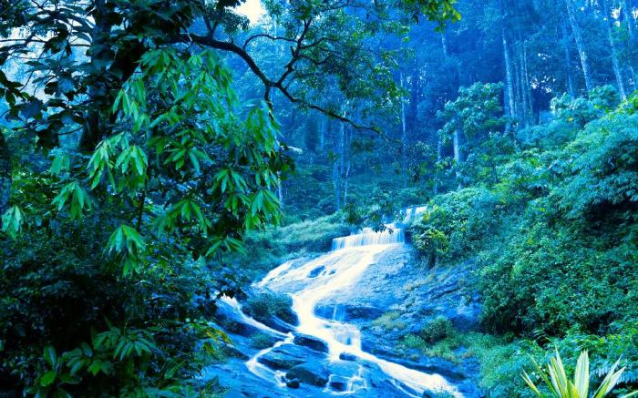 Falling Waters Resort
