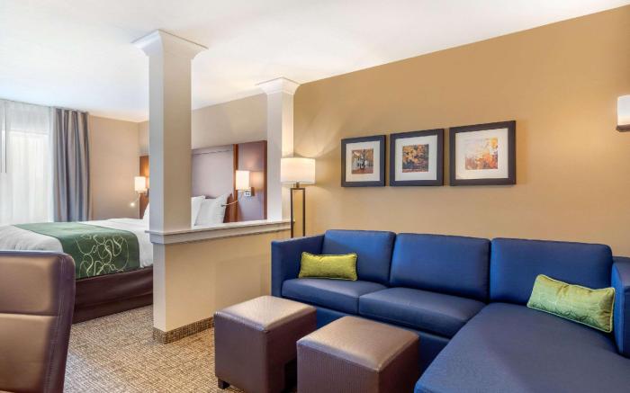 Comfort Inn & Suites Schenectady -Scotia