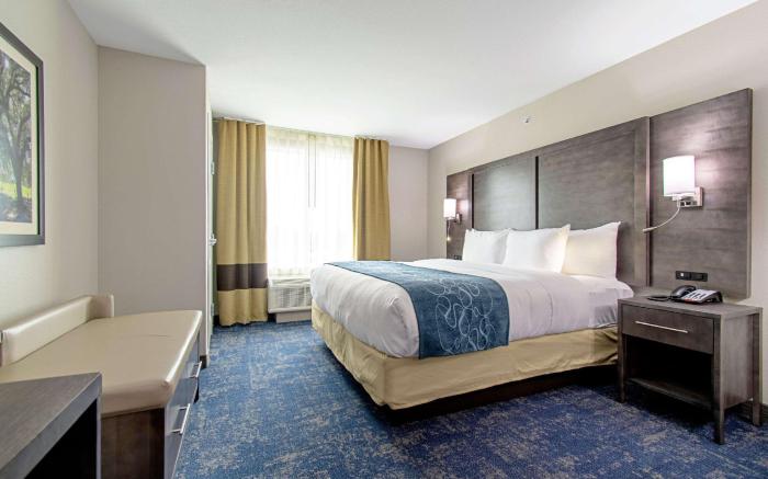 Comfort Suites Humble Houston IAH