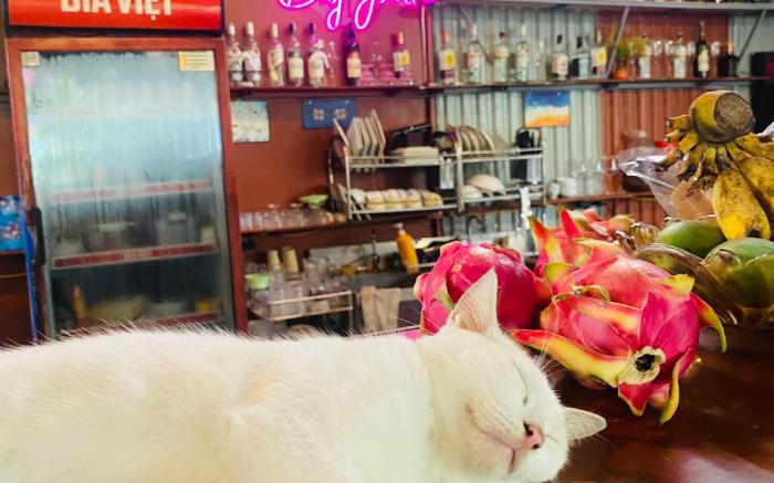 Big joint hostel tam coc