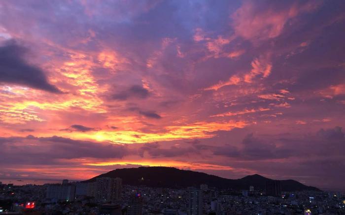 Ellie House - CSJ Vũng Tàu