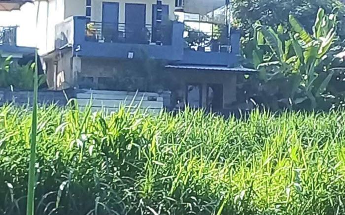 Uda house saba beach 2