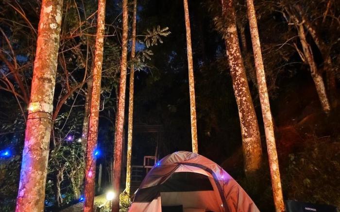 Nature Escape: Cozy Tent Retreat Riverside