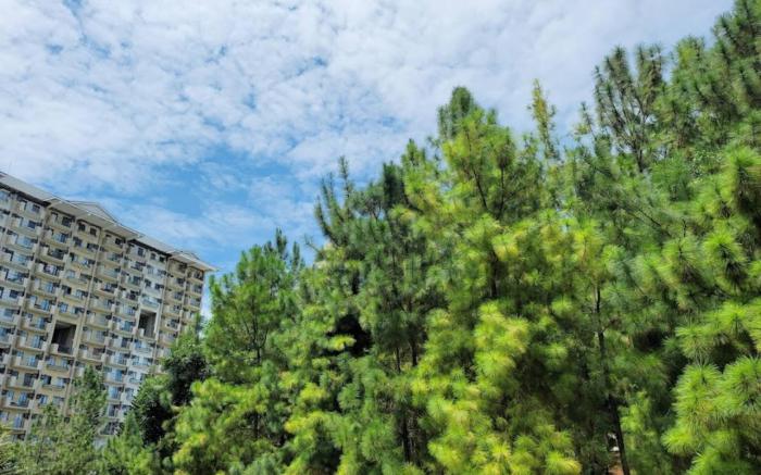 Optomum Davao City Apartment for Rent - Peaceful Living near Abreeza Mall