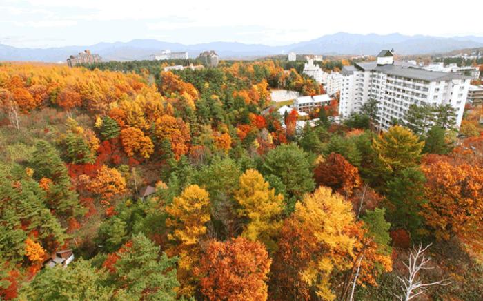 Hotel New Koyo