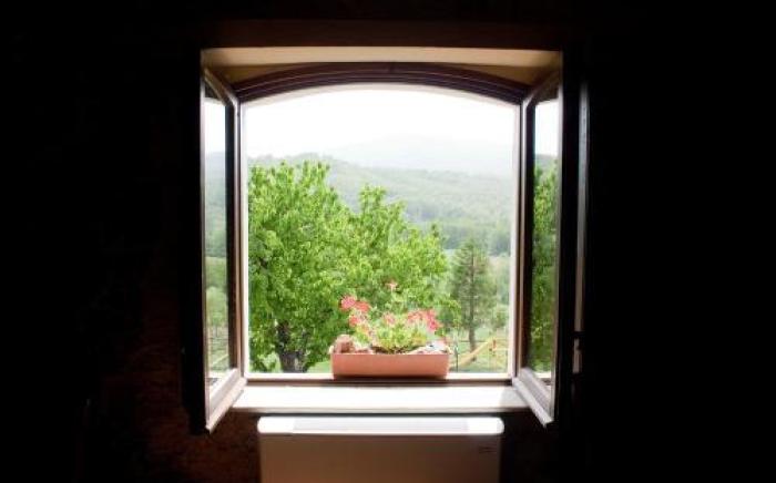 La Rosa Nel Bicchiere