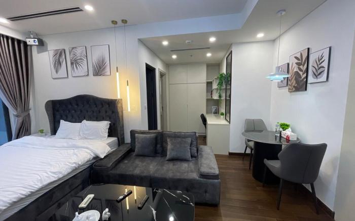 Studio, 1 King Size Bed, projector