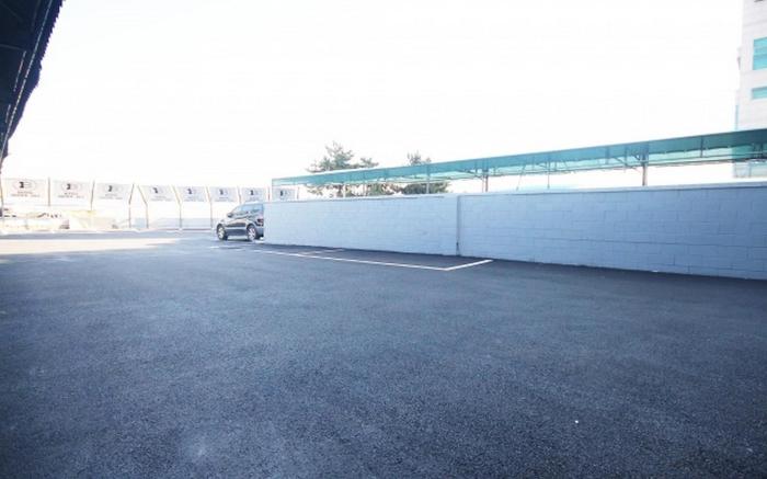 Busan Myeongji Brown Dot