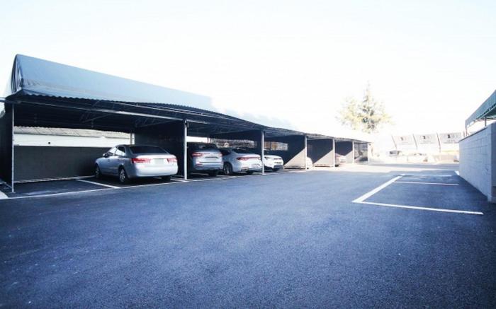 Busan Myeongji Brown Dot