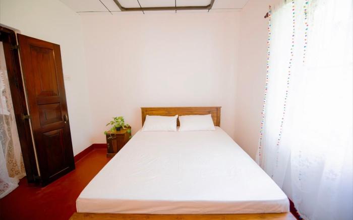 Aurora පාට පාට