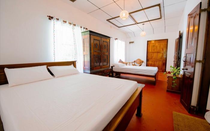 Aurora පාට පාට