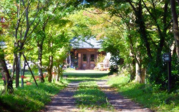 Minami Aso Luna Observatory Auberge Mori No Atelier