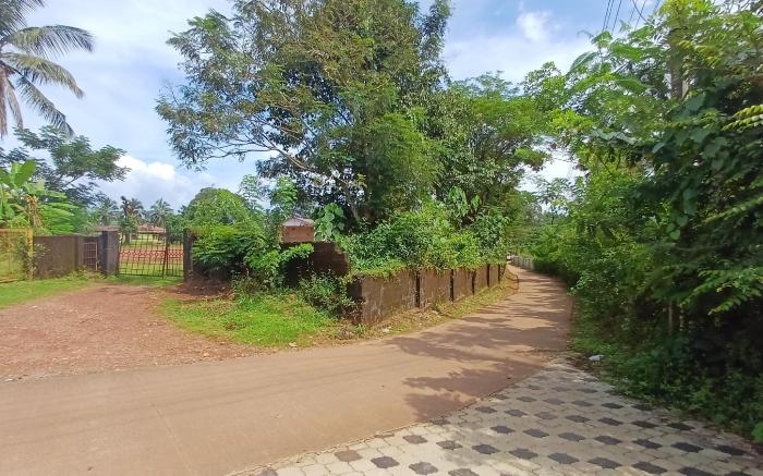 George Homestay Ujire