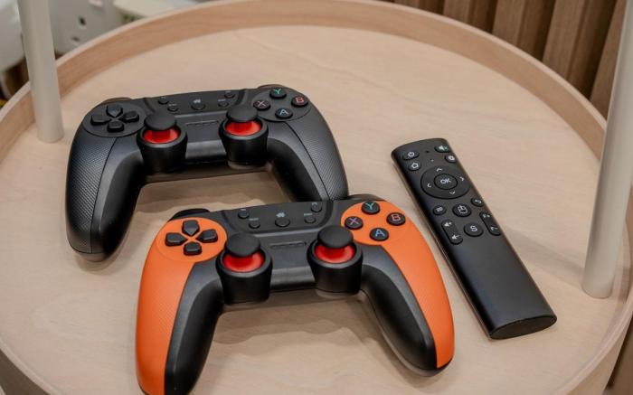 d'Flora Slide House 6 Pax | Projector | Legoland