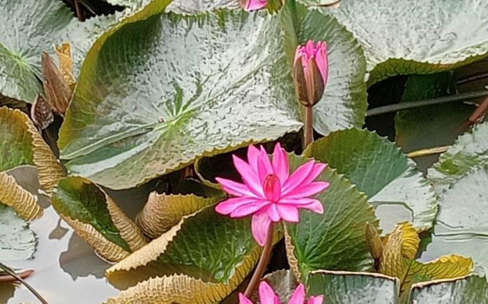 บ้านเพื่อน บางแสน โฮมสเตย์ 