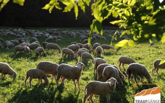 Hotel Garni in der Breite