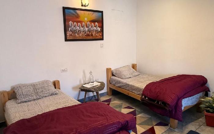 Twin Room Rooms with Mountain View