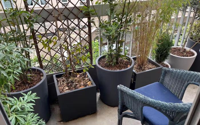 Comfortable room with balcony-2