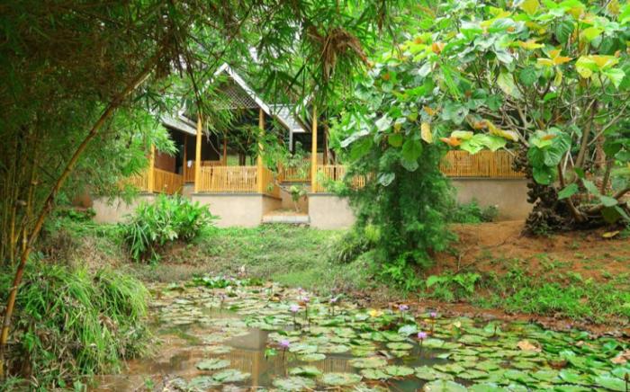 Vythiri Greens Resort