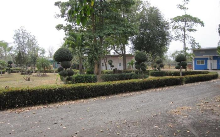 The Palm Village